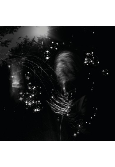 ANEMONE TUBE “THE THREE WORLDS - FORGET HEAVEN” cd ANEMONE TUBE “THE THREE WORLDS - FORGET HEAVEN” cd